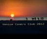 Venice Camera Club